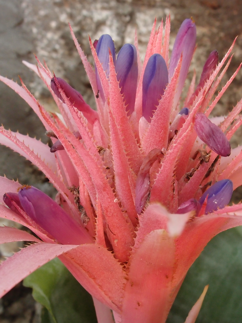 2016-02-18 Paulas Garten (Fotos)